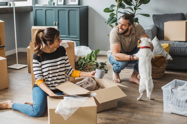 pet-relocation